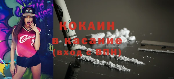 гидра Абаза