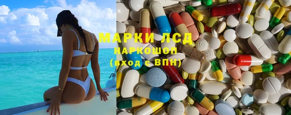 гидра Абаза