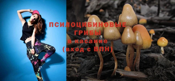 гидра Абаза