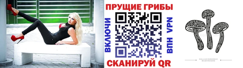 Галлюциногенные грибы GOLDEN TEACHER  купить наркоту  Тутаев 