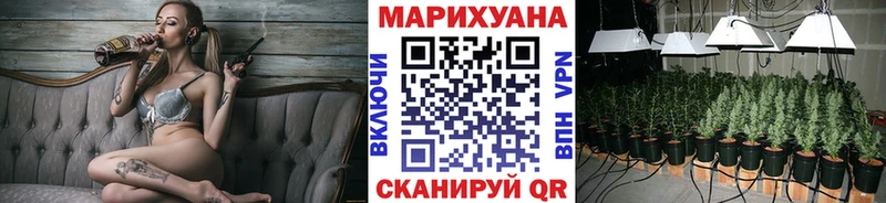 Конопля сатива закладки Тутаев